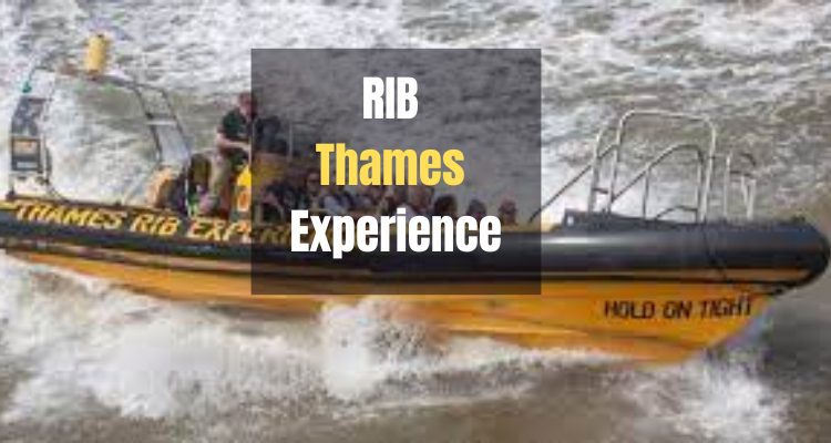RIB Thames Experience