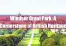 Windsor Great Park Featured Image