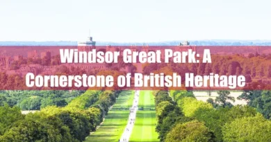 Windsor Great Park Featured Image