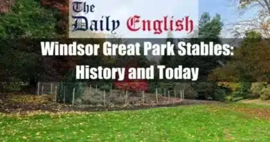 Windsor Great Park Stables Featured Image