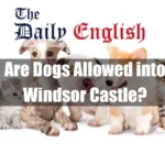 Are Dogs Allowed into Windsor Castle Featured Image