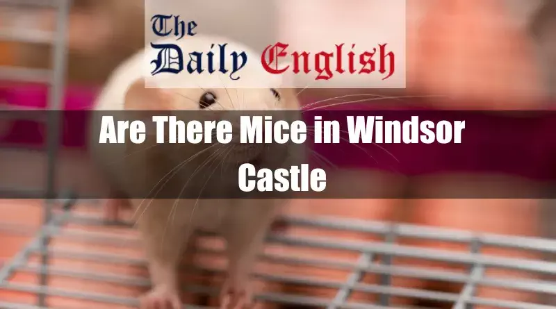 Are There Mice in Windsor Castle 2