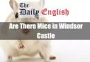 Are There Mice in Windsor Castle Featured Image