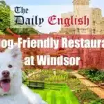 10 Dog-Friendly Restaurants at Windsor