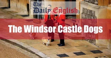 The Windsor Castle Dogs Featured Image