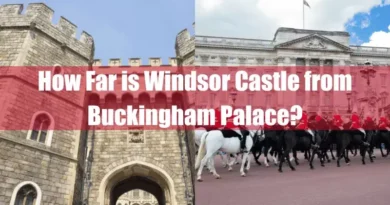 How Far is Windsor Castle from Buckingham Palace Featured Image