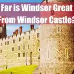 How Far is Windsor Great Park From Windsor Castle Featured Image