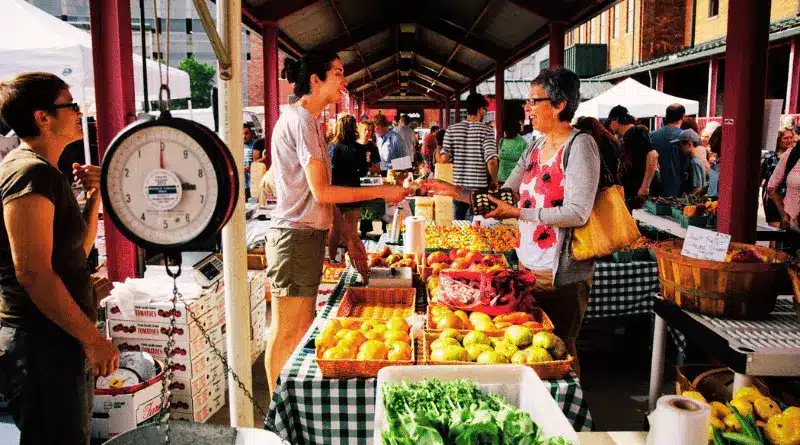 Farmer's Markets