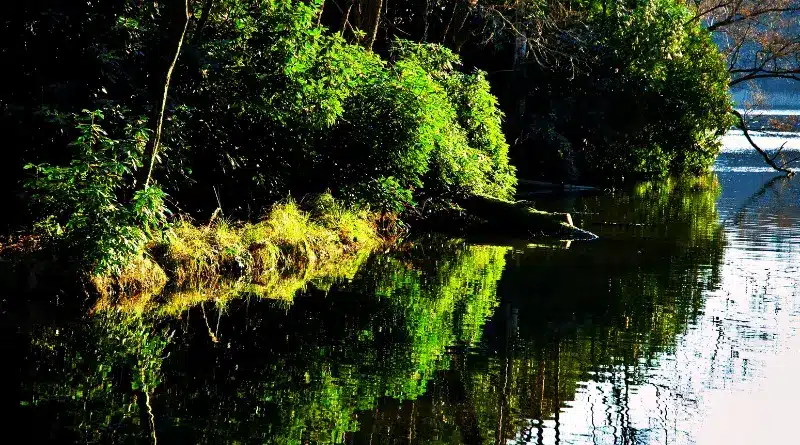Virginia Water