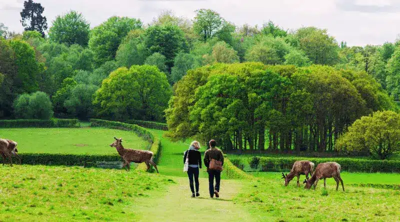 Deer Park