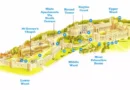 Windsor Castle Floor Plan Featured Image